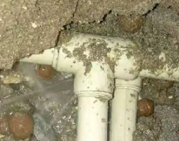 纳雍测漏水多少钱