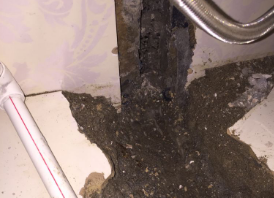 纳雍卫生间测漏水哪家好