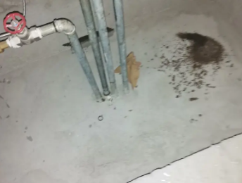 纳雍卫生间测漏水价格明细