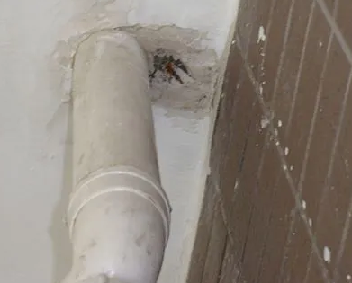 纳雍漏水检测哪家好